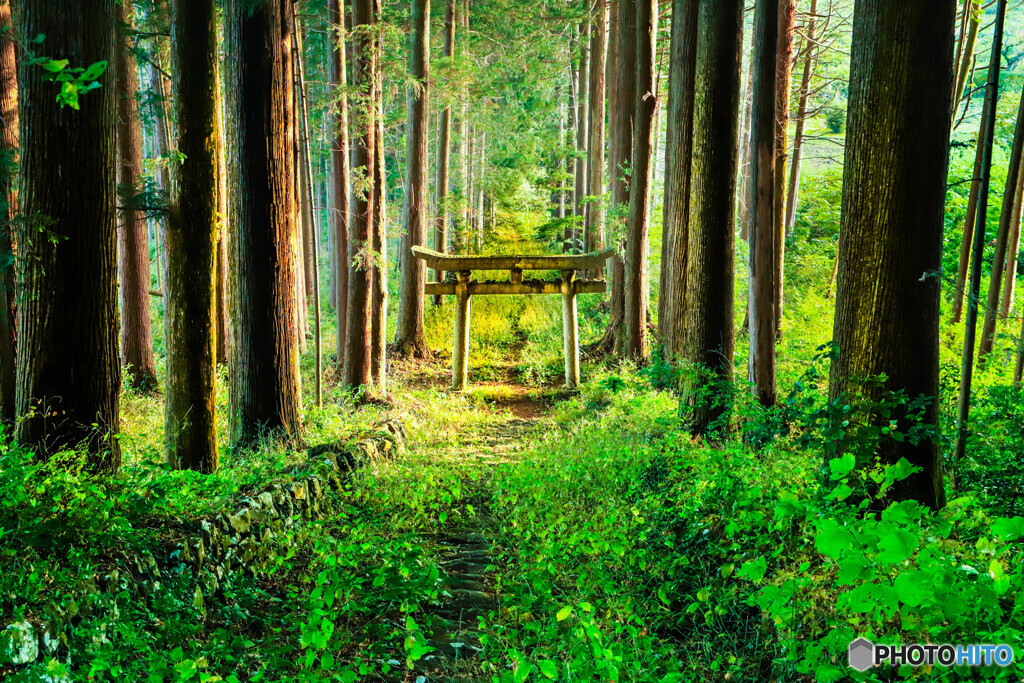 自然に同化した神社