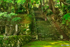 苔神社