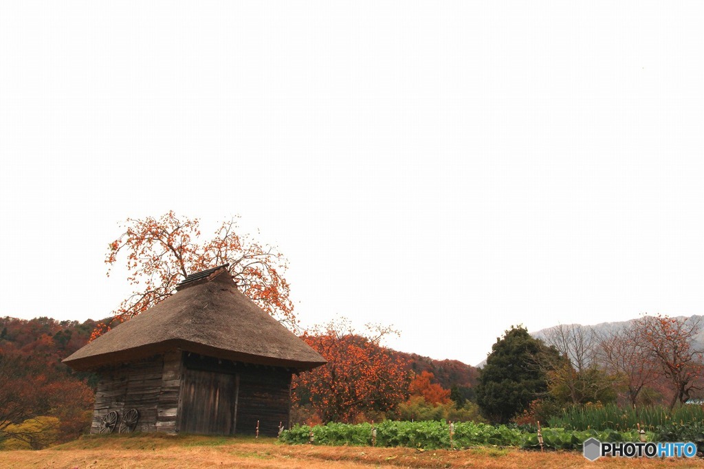 茅葺小屋
