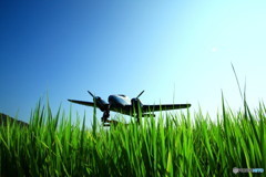 田んぼの中の飛行機