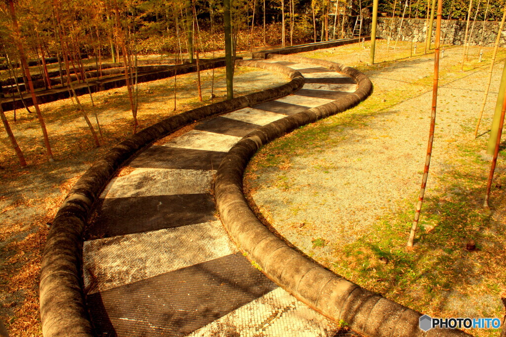 竹林の公園