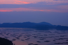 　夜明けの牡蠣筏　