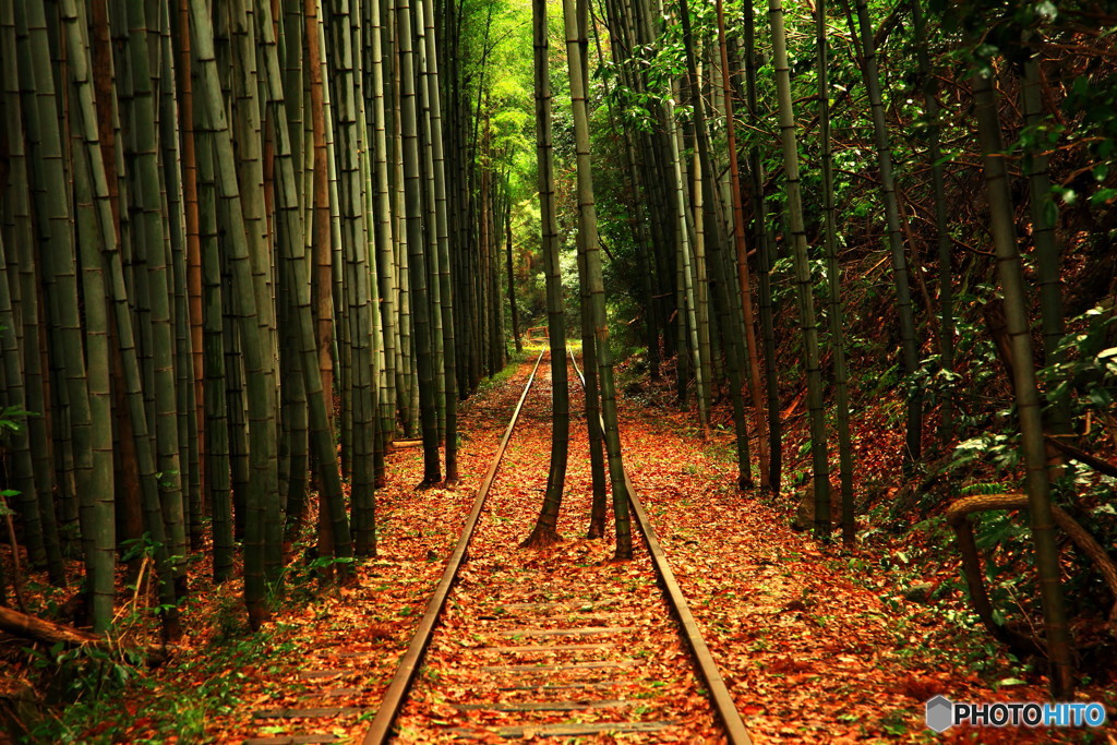 旧国鉄倉吉線　廃線跡