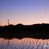 夕刻の田んぼ