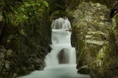 _MG_9313