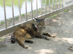 IMGP5380