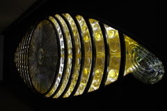 IMGX2396