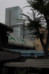 IMGS0101