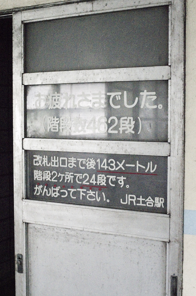 IMGS5532