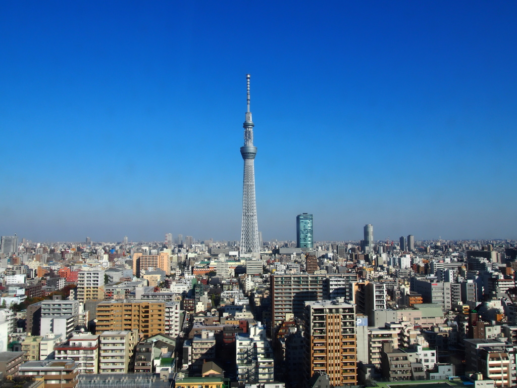 朝のスカイツリー