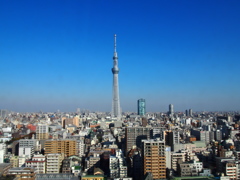 朝のスカイツリー