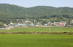 なつかしいけど、ちょっと違う