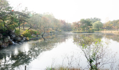 韓国　オサンの公園