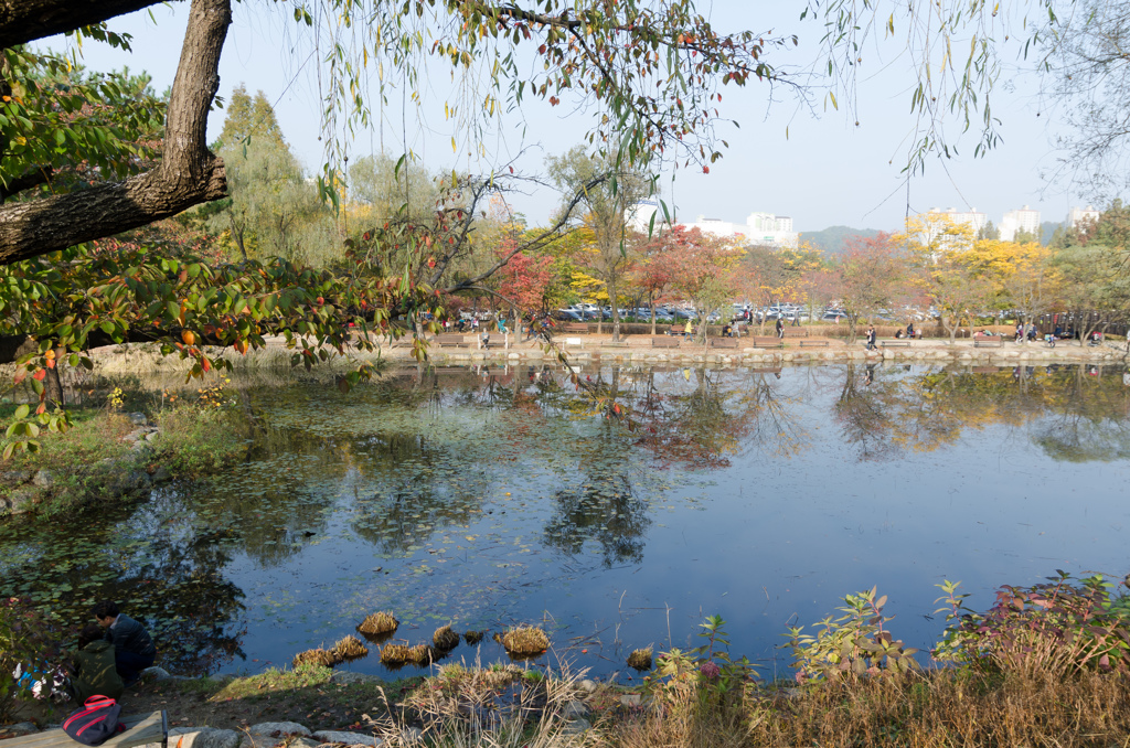 韓国　オサンの公園