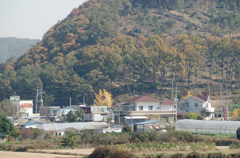 韓国　ヨンインの風景