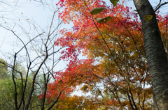 韓国　オサンの公園