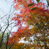 韓国　オサンの公園