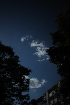 あの日見上げた初秋の空は、ごく普通に美しかった
