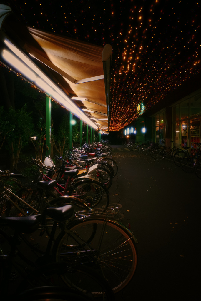 路駐三昧