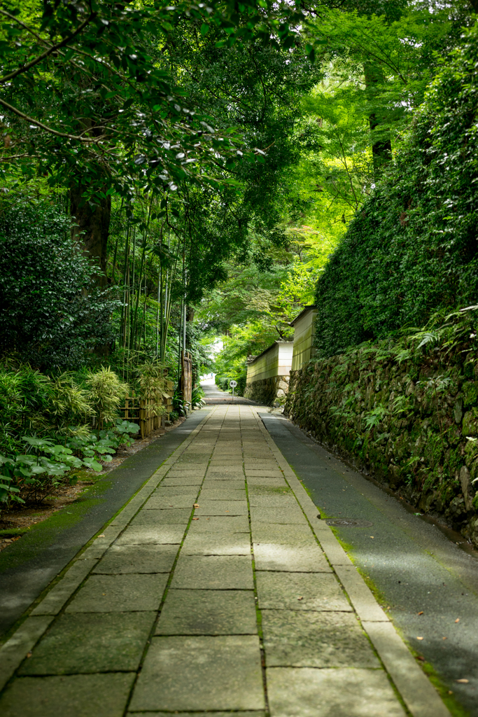 龍潭寺1