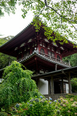 龍潭寺6