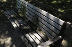 木漏れ日の休日