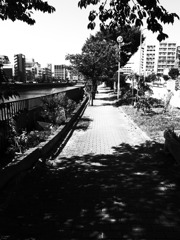 いつもの散歩道－ハイコントラスト