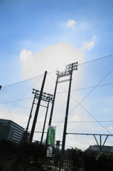 太陽を見上げる