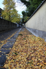冬寒の道