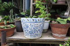 植木鉢