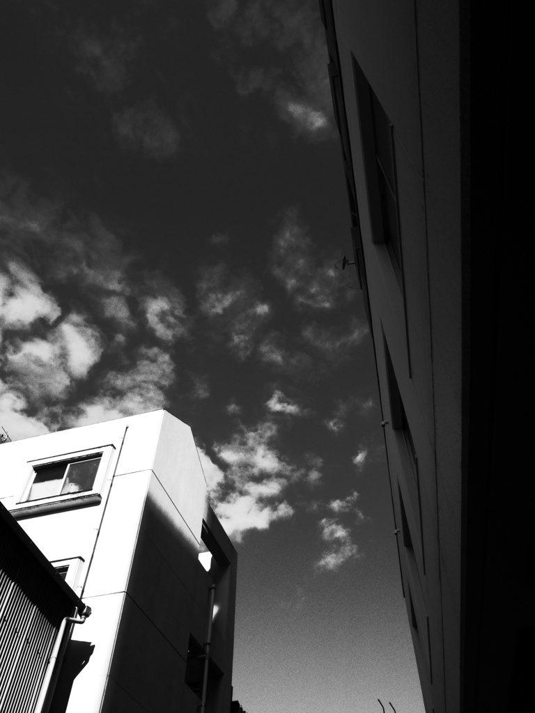 私が、空を見上げるいくつかの理由１