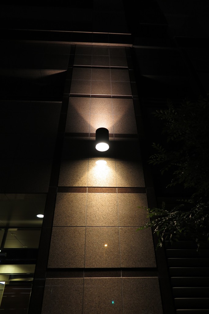 夜を照らす
