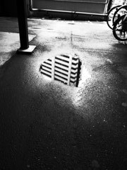 雨上がり-モノクロ