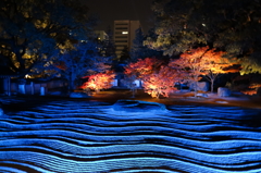紅葉と夜のさざなみ