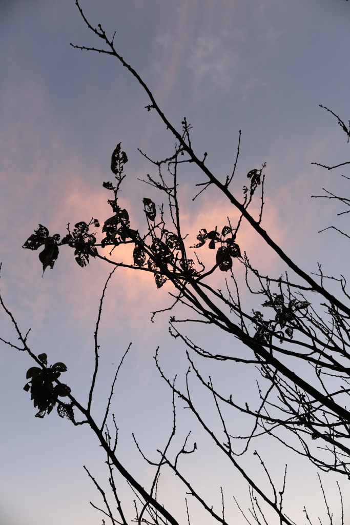 夕影