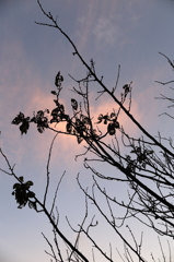 夕影