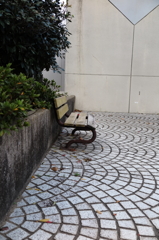ベンチ