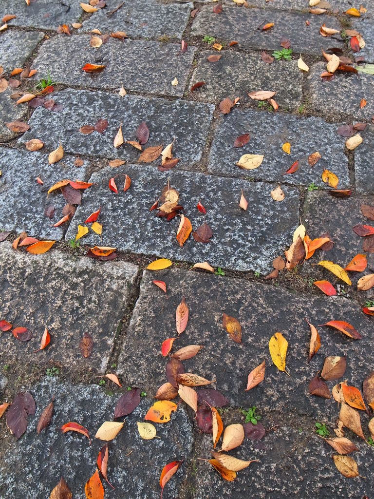 落ち葉道２