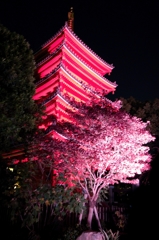 五重塔３