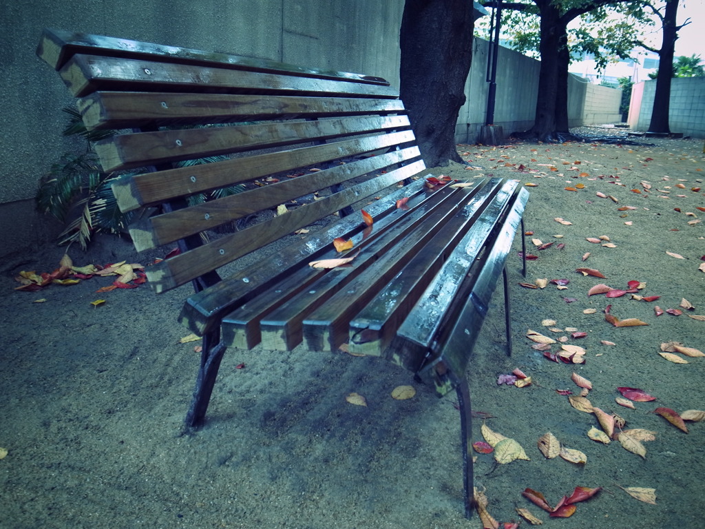 雨のベンチ