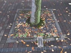 落ち葉も街の彩り