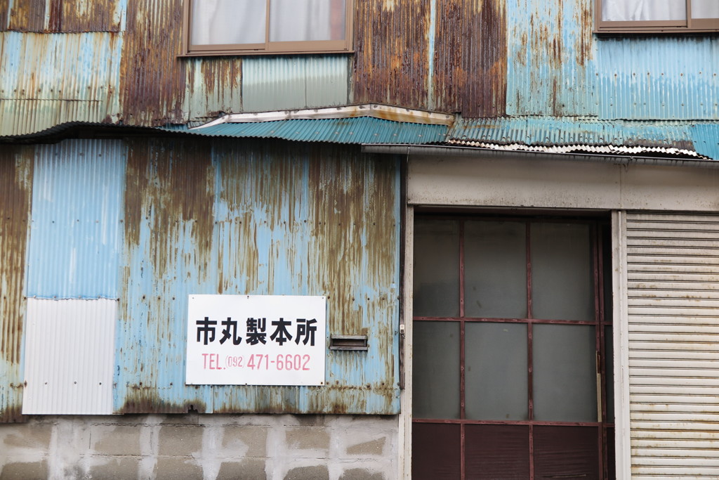 褪せていく世界と変わらない物