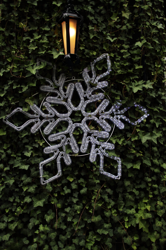 雪を夢見て