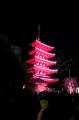 五重塔1