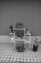棚置き