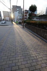 朝日射す
