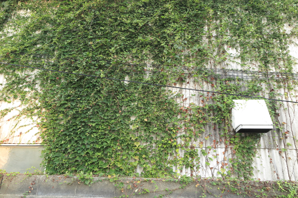 覆う