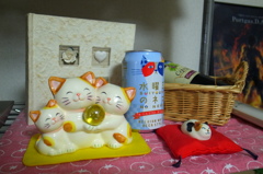 各種ネコ