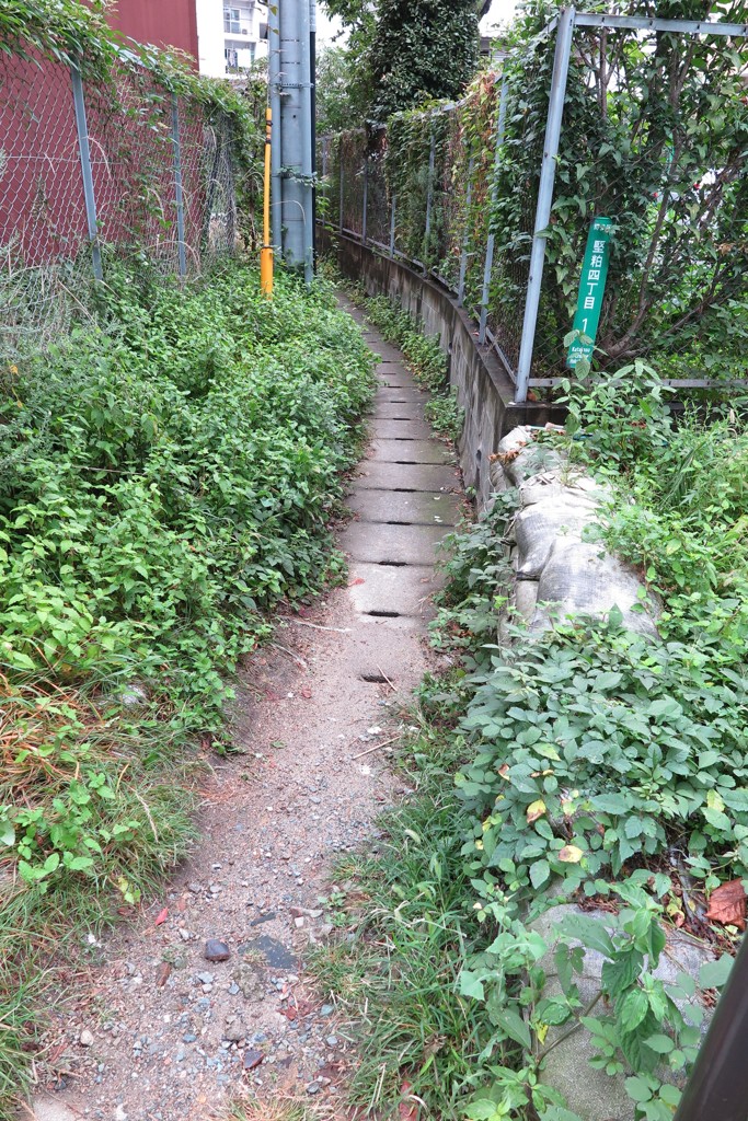 抜け道
