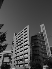 シャープなビル－モノクロ